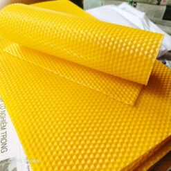 [Nhi VTO] 200 tầng chân ong nội miền bắc sáp tự nhiên kích thước 19x33cm