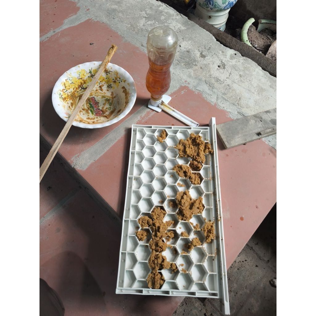 Cầu bo phấn kèm vách ngăn ong nội - Ảnh 9