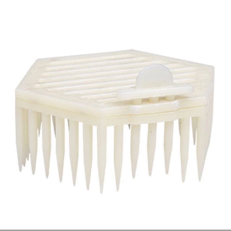 Lồng Lục giác nhốt ong chúa ngay trên bầu mật - Ảnh 2