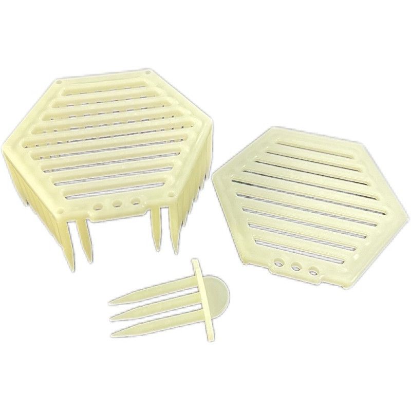 Lồng Lục giác nhốt ong chúa ngay trên bầu mật - Ảnh 6