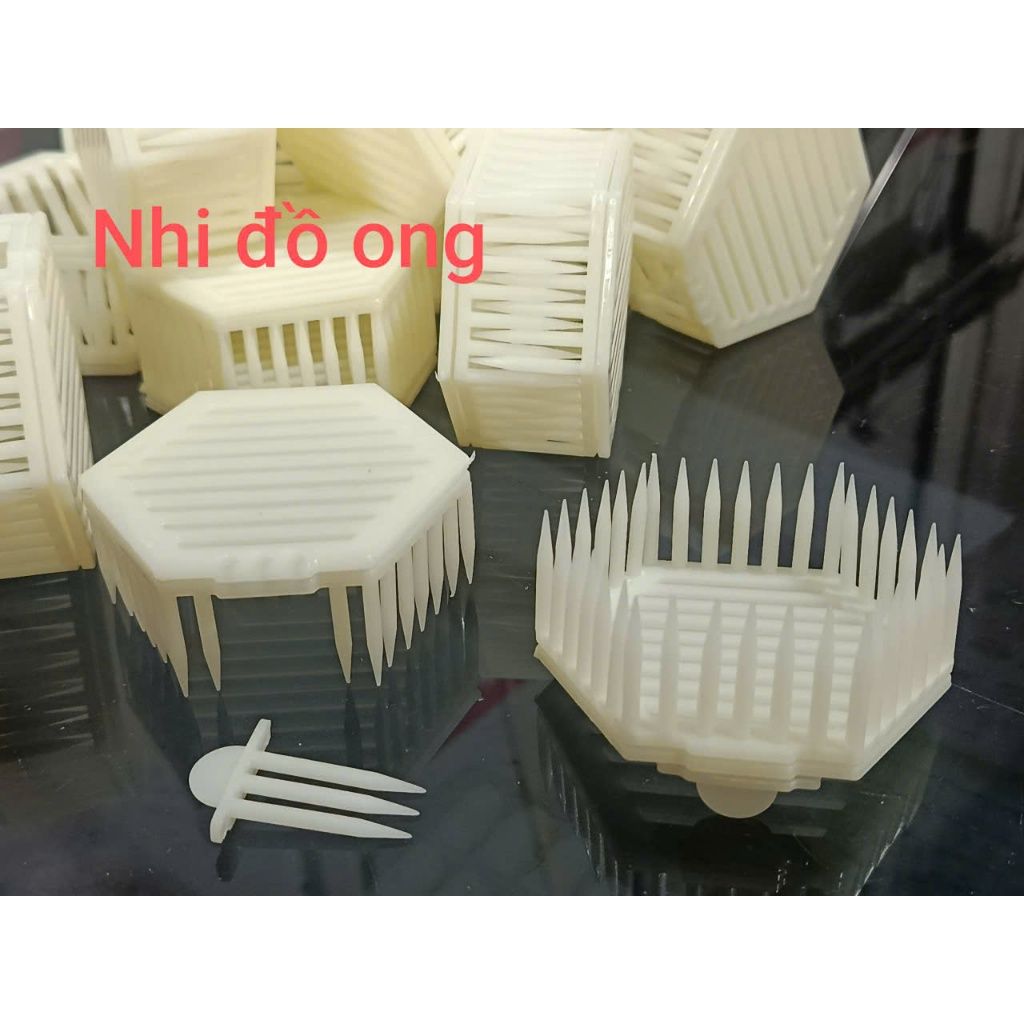 Lồng Lục giác nhốt ong chúa ngay trên bầu mật - Ảnh 7