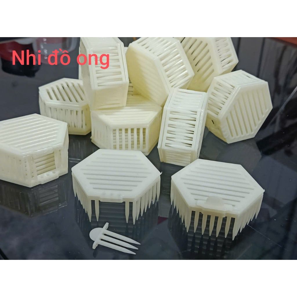 Lồng Lục giác nhốt ong chúa ngay trên bầu mật - Ảnh 8