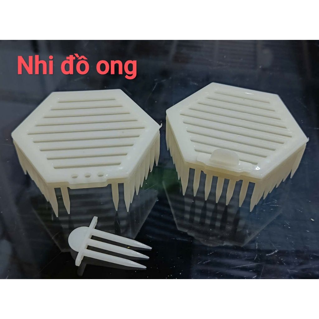 Lồng Lục giác nhốt ong chúa ngay trên bầu mật - Ảnh 9